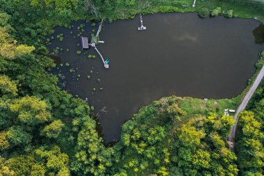 Lake Forest birası Sonbahar yeşillikleri