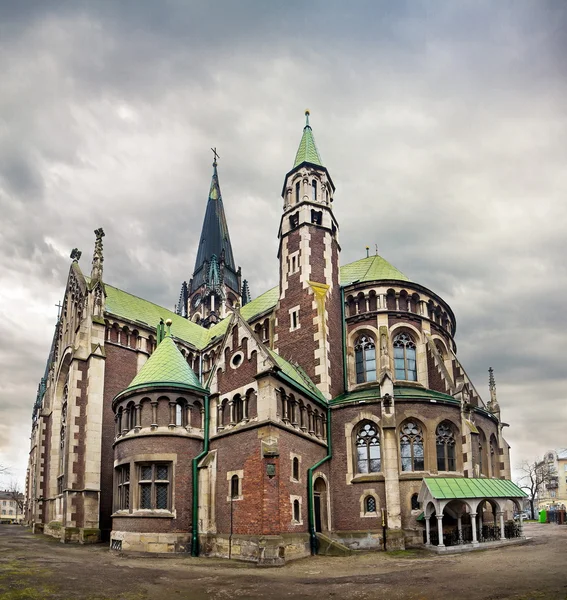 Церква Святої Ольги і Єлизавети в Україні Львів — стокове фото