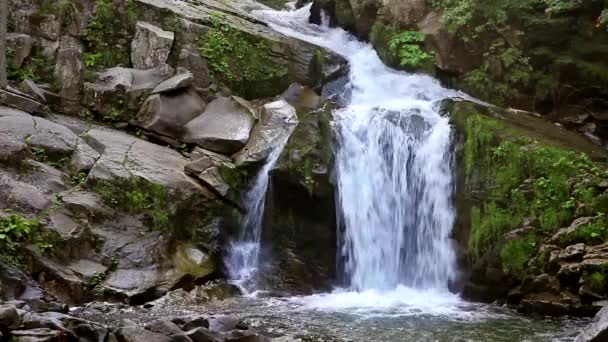 Cascada en el bosque — Vídeos de Stock