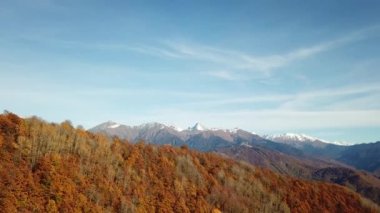 Rusya 'nın Krasnaya Polyana kentindeki Kafkasya dağlarının sonbahardaki orman manzarası.