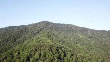 Rusya 'nın Soçi ormanlarının yukarıdan görünüşü