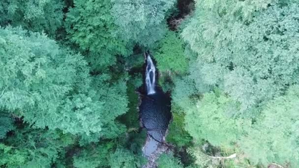 Letecký Pohled Shora Vodopád Azhek Lese Soči Rusko — Stock video