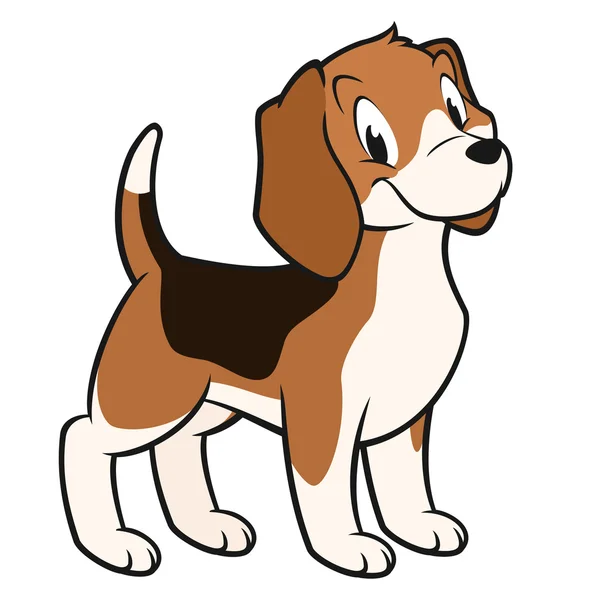 Cartoon Beagle — Stock Vector