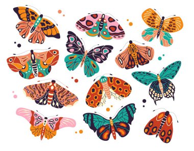 Collection of colorful hand drawn butterflies and moths on white background. Stylized flying insects with decorative elements, vector illustration. 