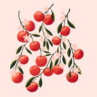 Ağaç dallarındaki portakallar. İzole tropikal yaz meyveleri, soyut renkli el çizimleri.. 