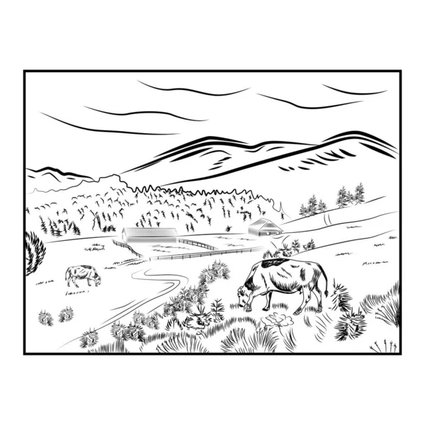 Schwarze Skizze Kuhfarm Landschaft Poster Mit Kuh Grasen Auf Einer — Stockvektor