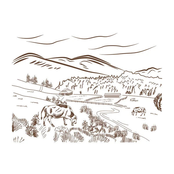 Braune Skizze Kuhfarm Landschaft Poster Mit Kuh Grasen Auf Einer — Stockvektor