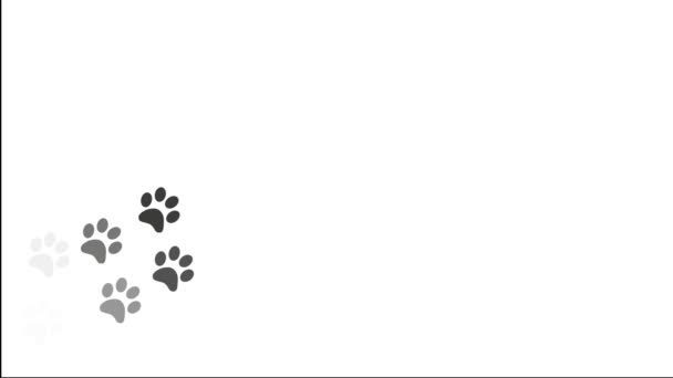 Pata impresiones animal pies pie huellas pawprints perro gato 4k — Vídeo de stock