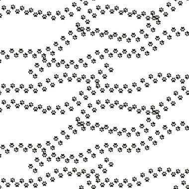 Hayvanın ayak izleri kusursuz. Kedi, köpek, ayı, aslan, leopar ve diğer hayvanların ayak izleri.