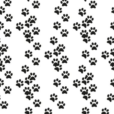Hayvanın ayak izleri kusursuz. Kedi, köpek, ayı, aslan, leopar ve diğer hayvanların ayak izleri.