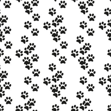 Hayvanın ayak izleri kusursuz. Kedi, köpek, ayı, aslan, leopar ve diğer hayvanların ayak izleri.