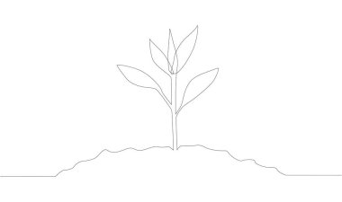 Tek bir çizgili sanat filizleniyor. Bitki yaprakları tohum yetiştirir toprak filizlenir eko doğal tarım konsepti tasarlanır bir çizim ana hatları çizilir