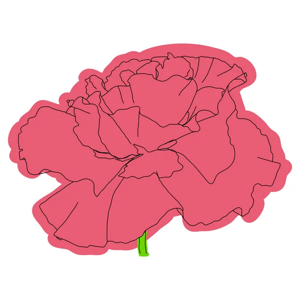 Fleur Pavot Bourgeon Croquis Imitation Aquarelle — Image vectorielle