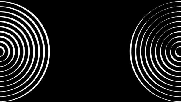 Psykedeliska vridcirklar. Runda randiga svarta vita linjer. Snurrande hypnotisk roterande abstraktion. Op konst effekt, optisk illusion. Sömlös looping animation. — Stockvideo