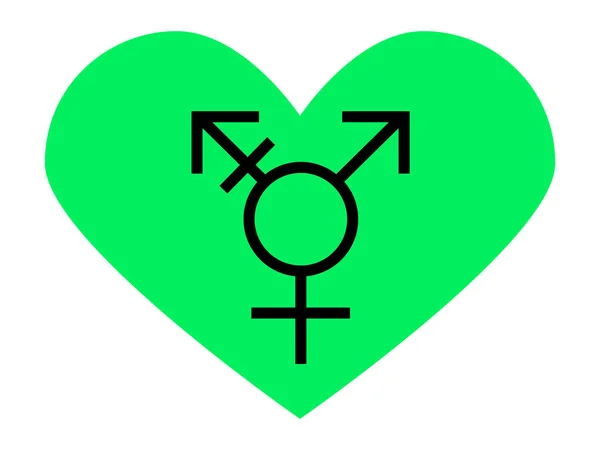 Lmbt Pride Zászló Israel Transgender Genderqueer Pride Sokszínű Béke Zászló — Stock Vector