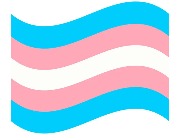 Drapeau Fierté Lgbt Transgender Pride Mouvement Multicolore Drapeau Paix Symbole — Image vectorielle
