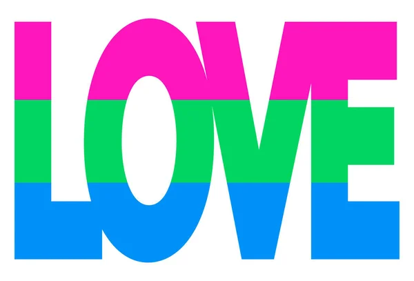Lgbt Pride Flag Polisexual Pride Multicolored Peace Flag Movement Original — ストックベクタ