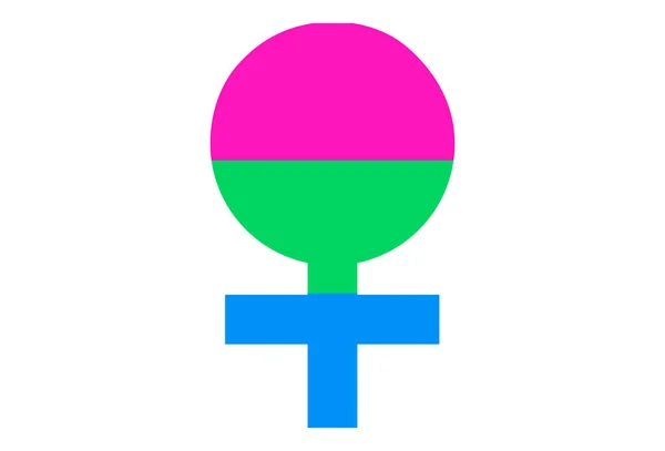 Lmbt Büszkeség Zászló Poliszexuális Pride Sokszínű Béke Zászló Mozgalom Eredeti — Stock Vector