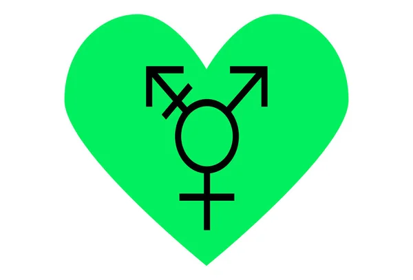 Lgbt Gurur Bayrağı Srail Transseksüel Cinsiyetçi Gurur Çok Renkli Barış — Stok Vektör