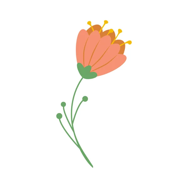 Boho Flowers Clipart Elements Valentine Day Boho Style Bohemian Romantic — Stock Vector