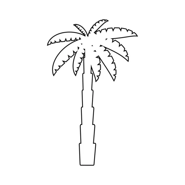 Tropik Palmiye Ağaçları Siyah Siluetler Beyaz Arka Planda Dış Hatlar — Stok Vektör