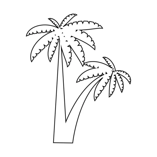 Grafiksel Palmiye Ağacı Seti Doğrusal Biçim Izole Nesne — Stok Vektör