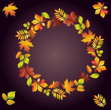 Koyu bir arka planda çok renkli sonbahar yapraklarının yuvarlak çerçevesi. Kestane, akçaağaç, meşe, huş ağacı. Kartpostal, arkaplan