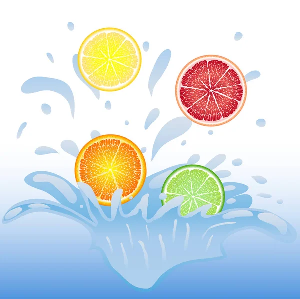 Trozos Fruta Cayendo Agua Naranja Limón Lima Pomelo Salpicadura Agua — Vector de stock