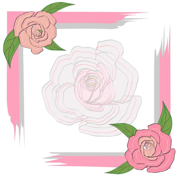 Gray Pink Frame Roses Greeting Card Invitation Text Semi Transparent — Stock Vector