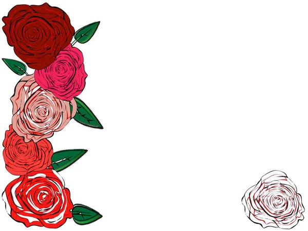 Пять Роз Сгруппированных Вертикально Белом Фоне — стоковый вектор