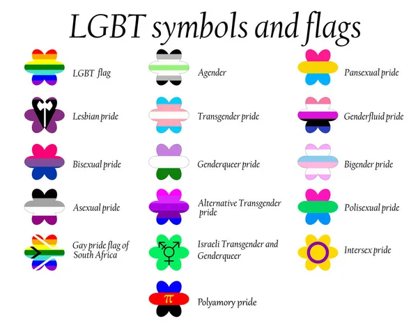 Collection Officielle Drapeaux Fierté Lgbt Lesbiennes Gays Bisexuels Transgenres Collecte — Image vectorielle