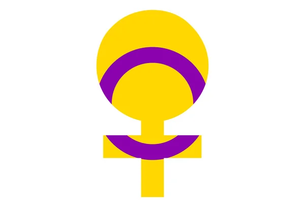 Lmbt Büszkeség Zászló Intersex Pride Sokszínű Béke Zászló Mozgalom Eredeti — Stock Vector