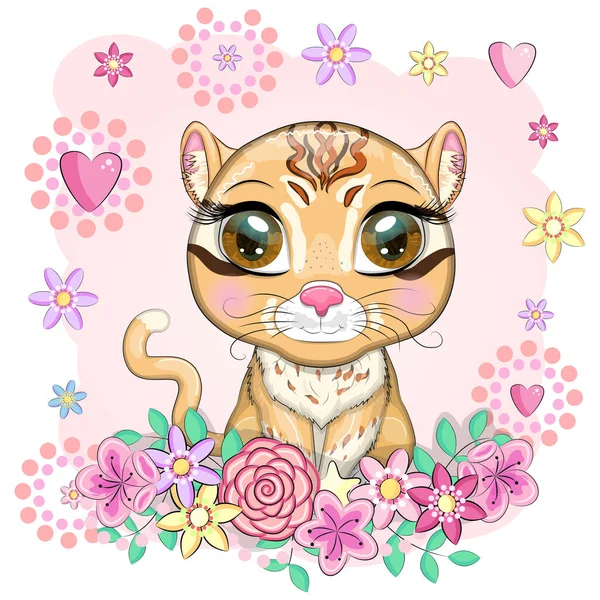 Gatto Asiatico Dorato Con Bellissimi Occhi Stile Cartone Animato Illustrazione — Vettoriale Stock