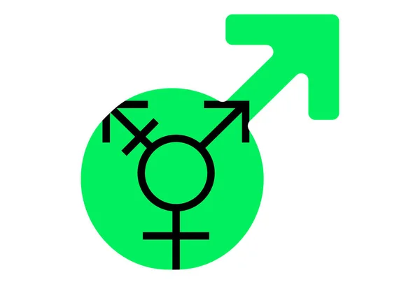 Lgbt Pride Flag Israel Transgender Genderqueer Pride Multicolored Peace Flag — Stock Vector