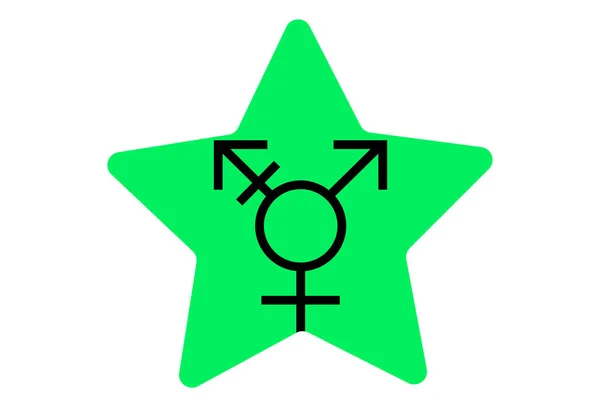 Lmbt Pride Zászló Israel Transgender Genderqueer Pride Sokszínű Béke Zászló — Stock Vector