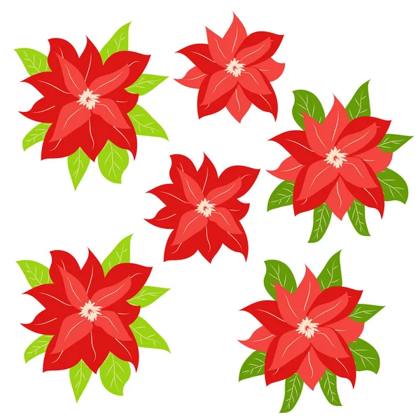 Yapımı Poinsettia Christmas Star Noel Noel Dekoru — Stok Vektör