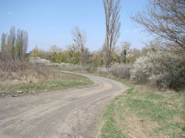 Kleine Straße Durch Grüne Felder Frühlingslandschaft — Stockfoto