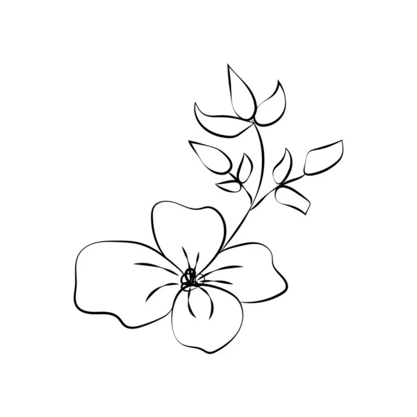Zomer Tuin Bloeiende Bloemen Monochrome Illustratie Schets Met Hand Getekend — Stockvector