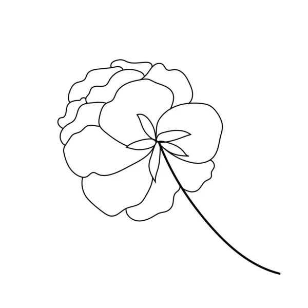 Summer Garden Blooming Flowers Monochrome Illustration Sketch Hand Drawn — Stock Vector