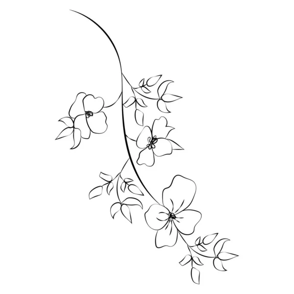 Jardim Verão Flores Monocromático Ilustração Esboço Desenhado Mão — Vetor de Stock