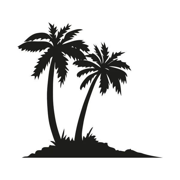 Pálma Trópusi Készlet Ikonok Fekete Sziluett Illusztráció Elszigetelt Fehér Háttér — Stock Vector
