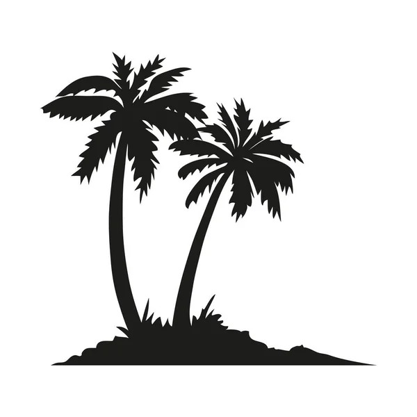 Palmera Tropical Conjunto Iconos Silueta Negra Ilustración Aislada Sobre Fondo — Archivo Imágenes Vectoriales