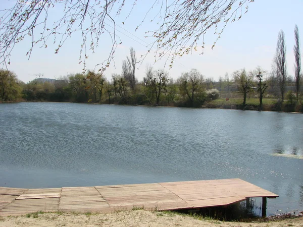 Vista Panorámica Idílico Paisaje Verano Con Lago Claro Pastos Verdes —  Fotos de Stock