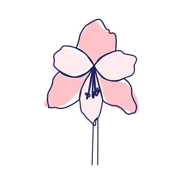 Kontinuierliche Linienzeichnung Der Schönen Blume Orchidee — Stockvektor