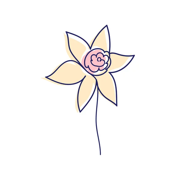 Desenho Linha Contínua Bela Flor Narciso — Vetor de Stock