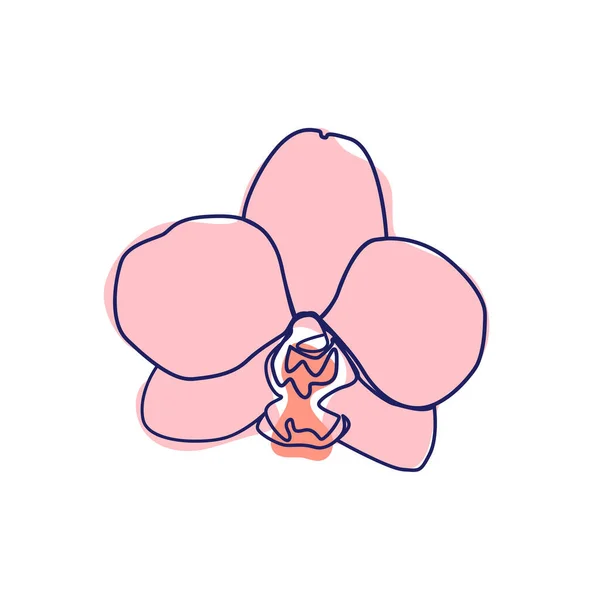 Línea Continua Dibujo Hermosa Flor Orquídea — Vector de stock