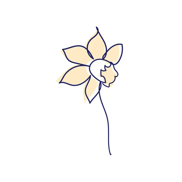 Continuous Line Drawing Beautiful Flower Narcissus — Stock Vector