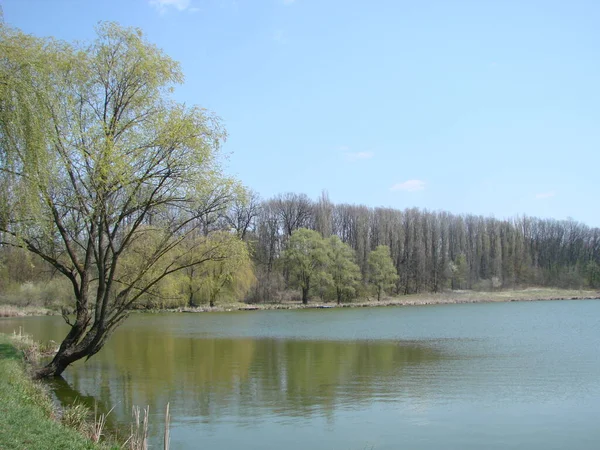 호수와 목초지가 풍경의 — 스톡 사진