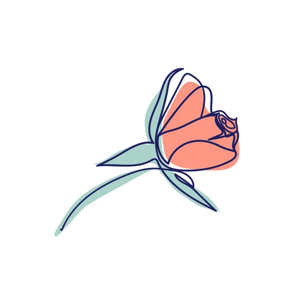 Συνεχή Γραμμή Σχέδιο Του Όμορφου Τριαντάφυλλου Λουλούδι — Διανυσματικό Αρχείο