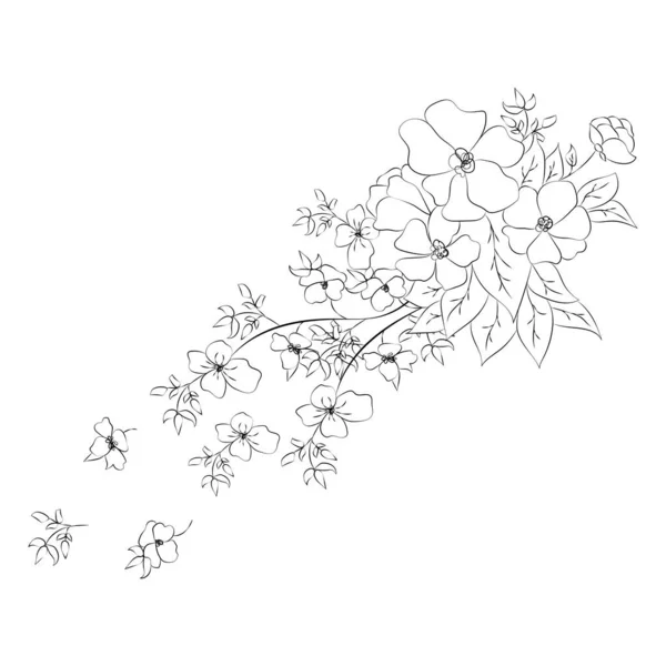 Jardín Verano Flores Flor Monocromo Ilustración Boceto Dibujado Mano — Vector de stock